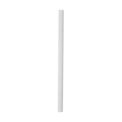 Replacement Straws