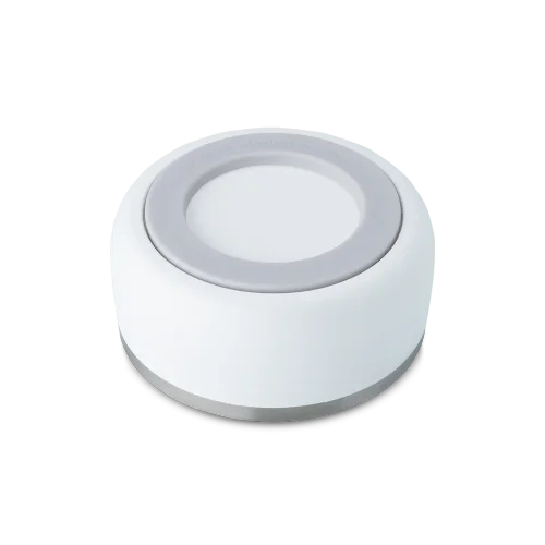 Pet Bowl